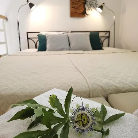 Apartamento Zona 2 Zrenjanin