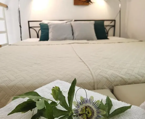 公寓 Zona 2 兹雷尼亚宁