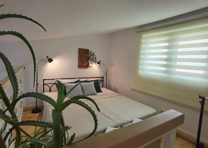 Zona 2 兹雷尼亚宁