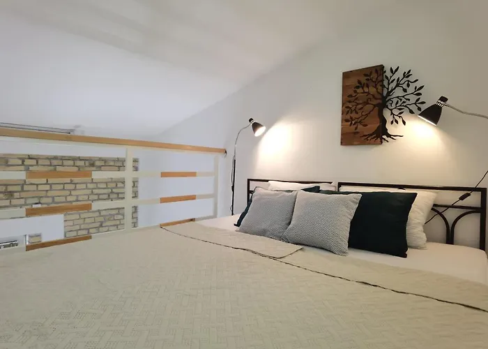 Zona 2 兹雷尼亚宁